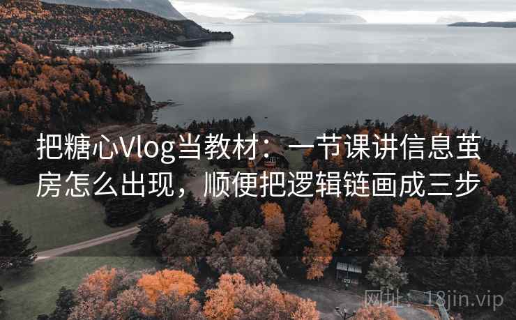 把糖心Vlog当教材：一节课讲信息茧房怎么出现，顺便把逻辑链画成三步